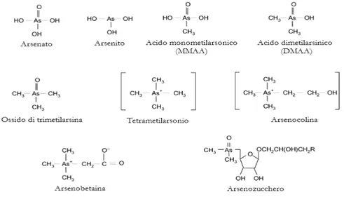 Figura 1.14  Strutture di alcuni fra i composti più importanti dell'arsenico. 