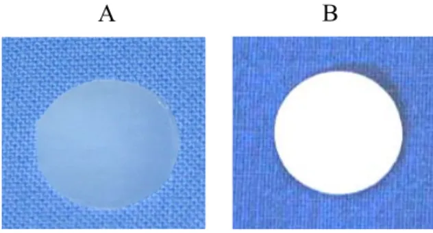 Figura 1. Fotografia di un campione in PEtU-PDMS ottenuto  mediante le metodologie  A) casting e B) spray