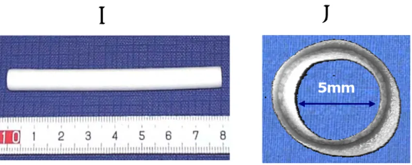 Figura 8. A) Fotografia di una protesi vascolare in PEtU-PDMS; B) sezione trasversale della  protesi vascolare (osservazione allo stereo-microscopio; ingrandimento originale 20X)