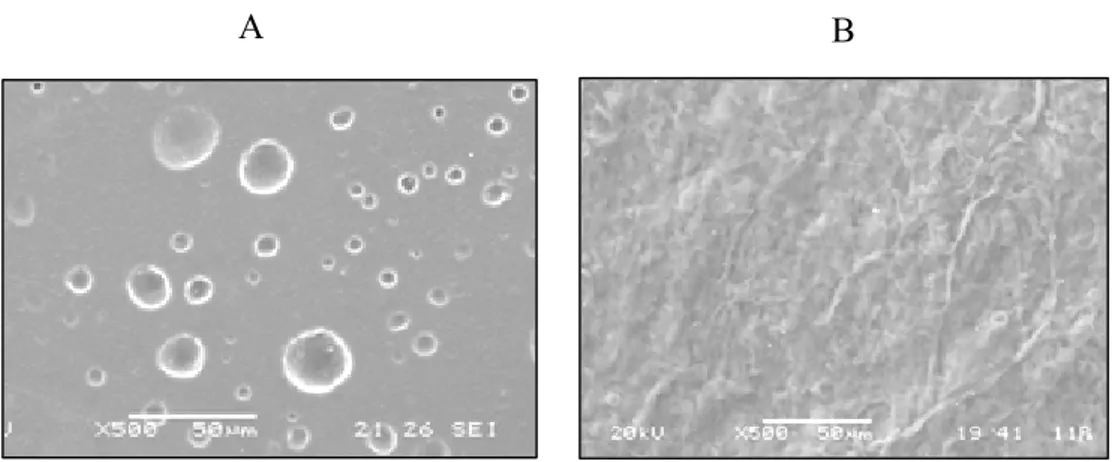 Figura 3.  Immagini acquisite al SEM (O.M. 500X) della superficie di campioni in PEtU- PEtU-PDMS ottenuti mediante le metodologie A) casting e B) spray