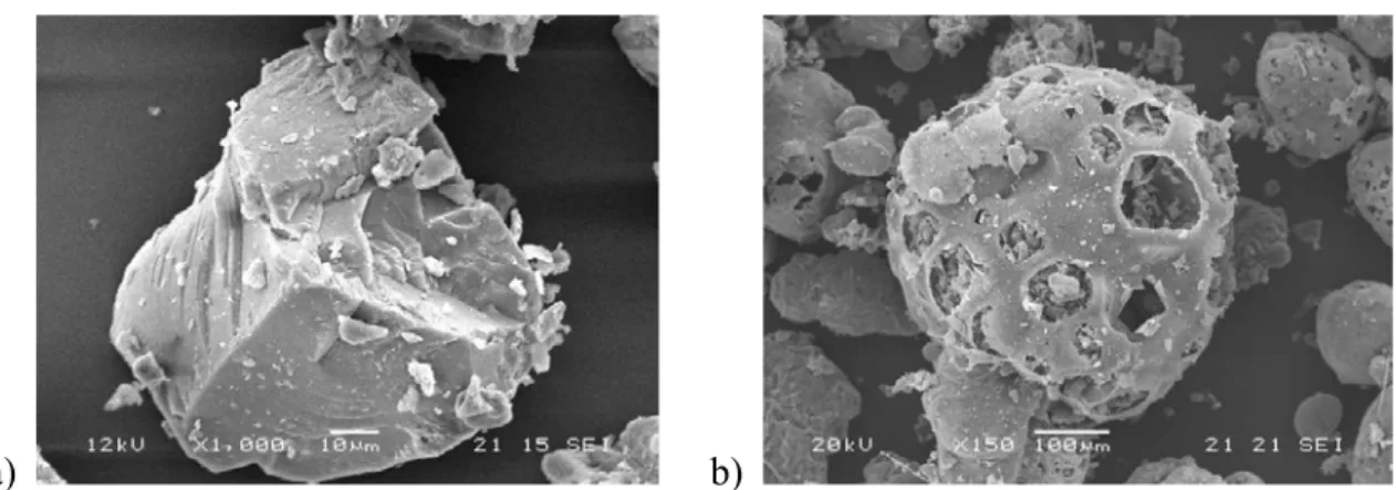 Figura 1.1 - Immagini al microscopio a scansione di una particella di carbone non reagita a) e dopo parziale  devolatilizzazione b)