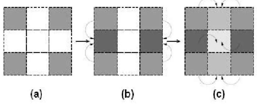 Figure 3.1: This picture shows the interpolation process. (a) shows four interested pixels