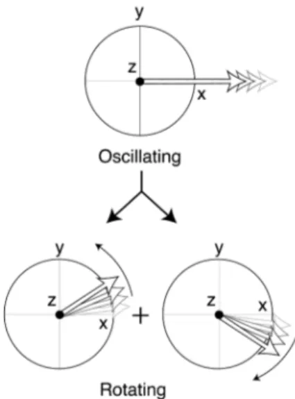 Figure 1.5: An oscillating rf field can be decomposed in the sum of two counter-rotating fields.