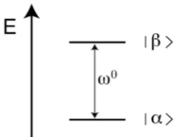 Figure 1.11: Representation of the energy levels for a spin 1/2 in a static magnetic field B 0 .