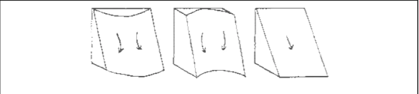 Fig. 5.9 : Le tre possibili curvature planari, rispettivamente convessa, concava e piana (Peschier J., 1996)