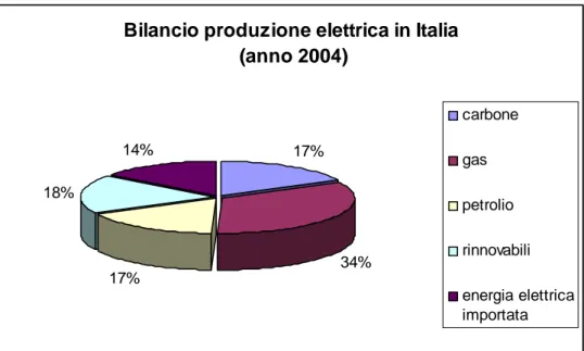 fig 1.2 – Bilancio produzione elettrica italiana (anno 2004).  