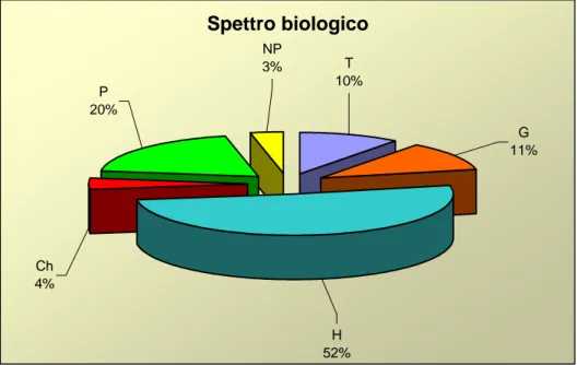Fig. 6 - Spettro biologico relativo alle specie censite nell’area di studio 