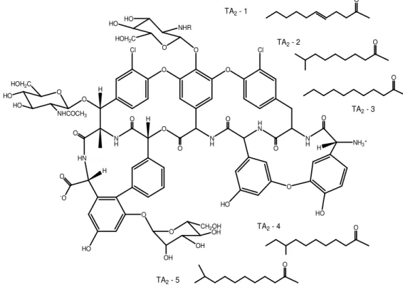 Fig. 1 Struttura chimica di teicoplanina.  TA-1/TA-5 sono componenti del complesso,  ognuna caratterizzata da un acido grasso specifico (R)