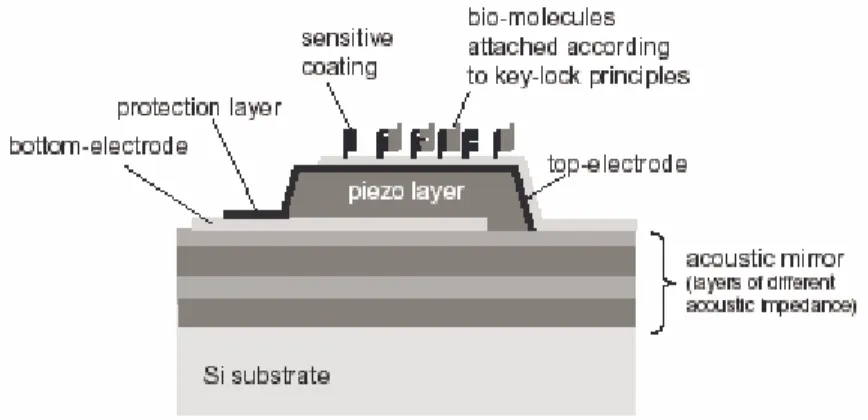 Figure 22: Cross-section of a chemical sensor based on a piezoelectric resonator from [65]