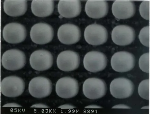 fig. 3.18 Vista dall’alto del back della matrice di periodo   1,5 µm*1,5 µm e zoom sui microaghi 