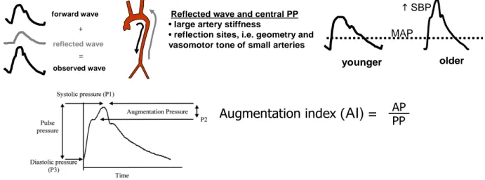 Figure 4 - Measurement of Central (aortic) Pulse Wave Velocity 