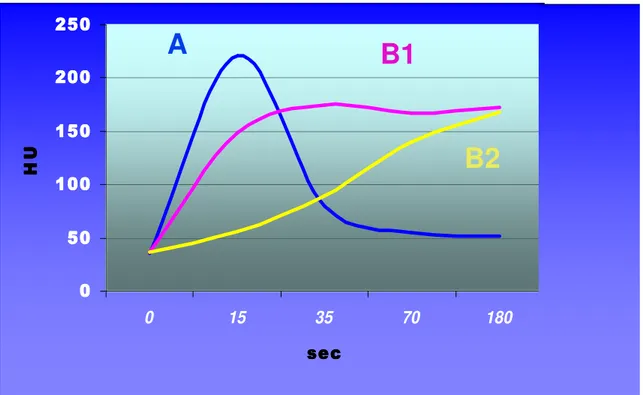 Fig. 1  Relazione tra  enhancement  contrastografico delle lesioni  e tempo:  si  nota la mancanza di wash-out nelle lesioni che mostrano pattern B (B1 e B2)
