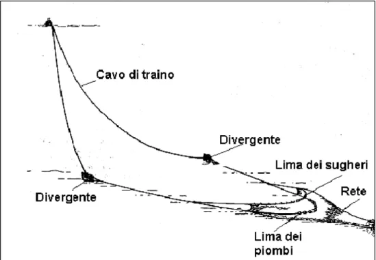 Fig. 3.3.2 - Schema di rete a strascico e suoi componenti. 