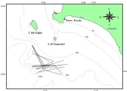 Fig. 3.3.3 - Tracciato delle cale commerciali su fondali batiali  monitorate durante questo studio