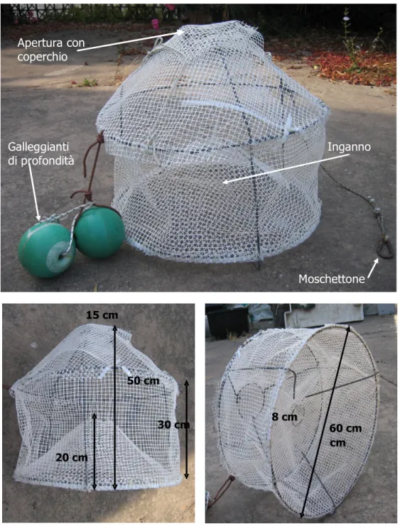 Fig. 3.2.2 – Caratteristiche costruttive e dimensioni delle nasse utilizzate per la  pesca di P