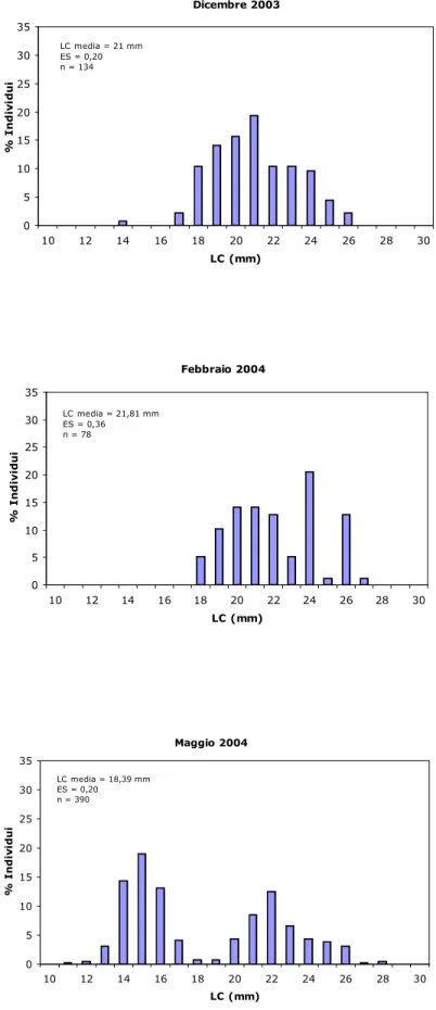 Fig. 4.1.1 - Composizione in classi di taglia di tutto il campione  analizzato da dicembre 2003 ad aprile 2006.