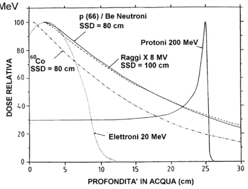 Figura 1.5: Curve dose-profondit`a per neutroni, protoni da 200 MeV, fotoni e raggi gamma emessi da una sorgente di cobalto.