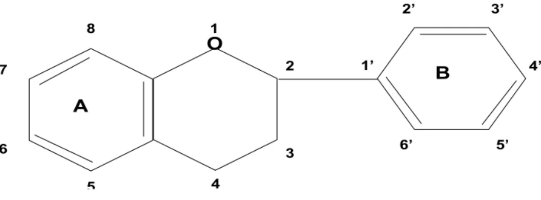 Fig 4. Struttura base dei flavonoidi (da Salisbury e Ross, 1992) 
