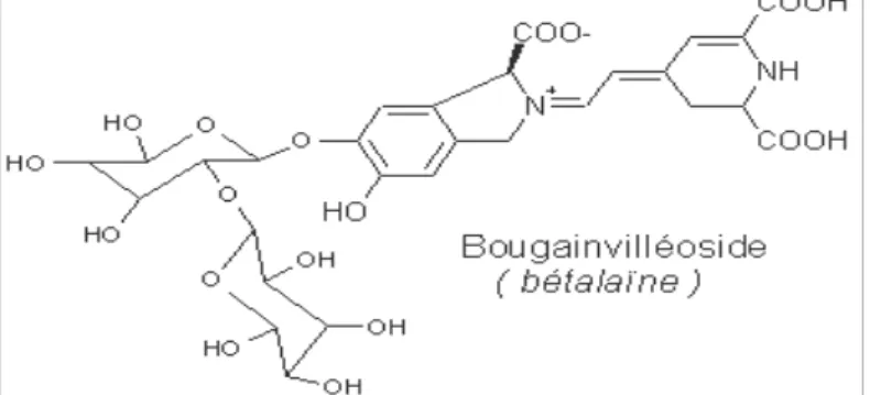 Fig 6. Struttura base delle betalanine (www.futura-sciences.com/.../images/betalaine.gif )