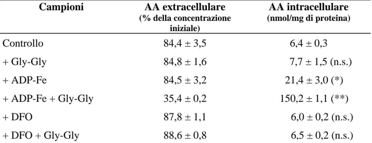Tabella 4.2 Funzione del ferro nella captazione dell’AA mediata dall’attività di GGT  