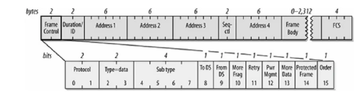 Figura  13: Struttura del campo di controllo del Frame
