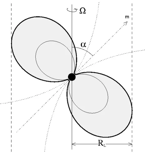 Figure 3.3: A schematic representation of pulsar and its magnetosphere, with the angular velocity Ω, the magnetic moment m