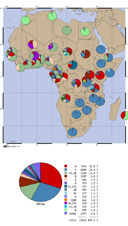 Fig. 11 Distribuzione dei sottotipi di HIV-1 in Africa 