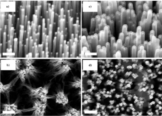 Fig. 2.2 Immagini al SEM: a) array di nanotubi, b) array di nanotubi dopo 