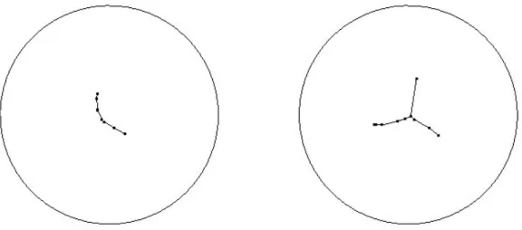 Figura 3.2: Insiemi ottimi di lunghezza 0.5 e 1 nel disco