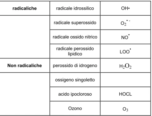 Tabella 1.1- Forme dell’ossigeno presenti negli organismi viventi (23) 