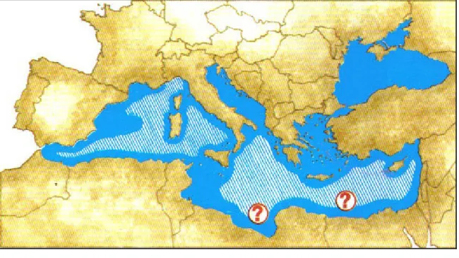 Figura  9:  Distribuzione  del  Tursiope  in  Mediterraneo;    regolare,    presente  ma  non  frequente,  ? ? mancano dati (da Notarnartolo di Sciara &amp; Demma, 1997)