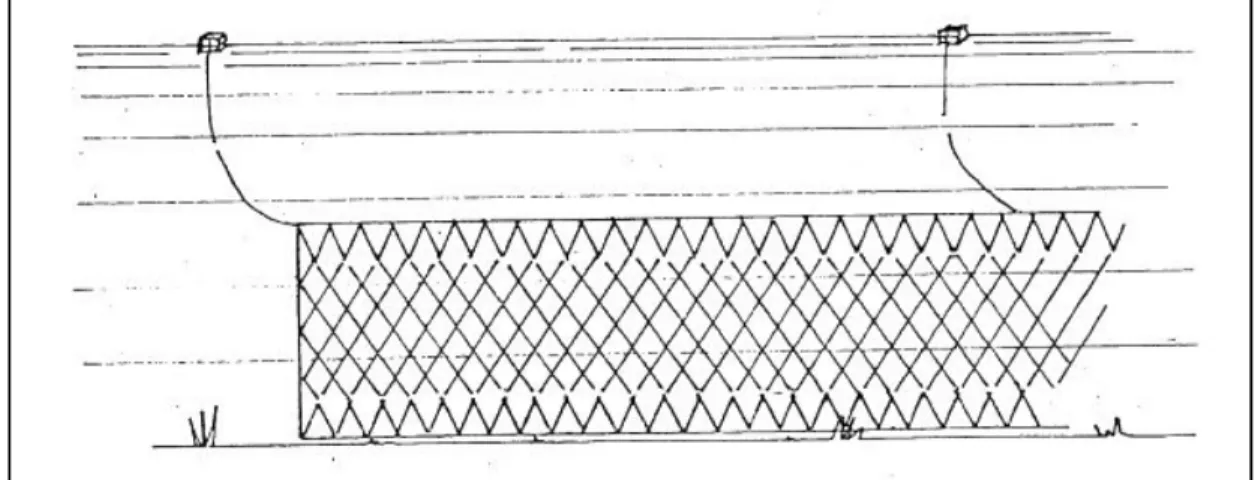 Figura 13: Schema di una rete a imbrocco (dal sito della federcoopesca). 