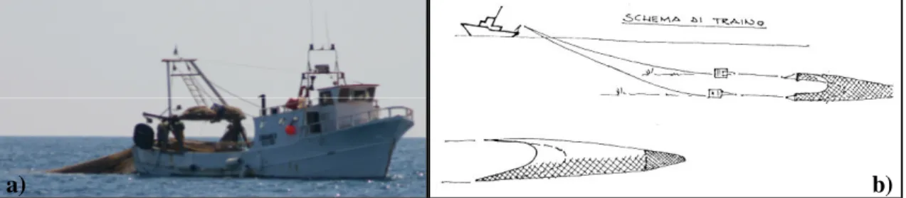 Figura 17: a) Peschereccio a strascico al lavoro nelle acque dell’Isola d’Elba; b) schema di una rete a strascico  (dal sito della federcoopesca)