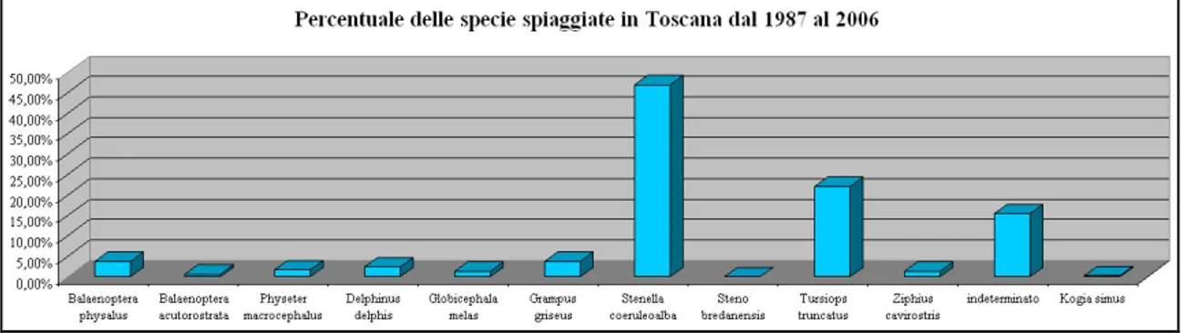 Figura 56: Il grafico mostra la percentuale di individui spiaggiati in Toscana nel periodo 1987 – 2006 suddivisi 