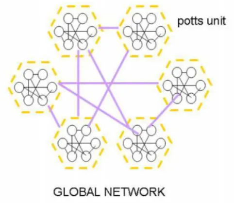 Figura 5.1: Se pensiamo alla corteccia come ad una struttura a due livelli, locale e globale, possiamo pensare le unit`a della rete come l’output di piccoli networks locali e lo stato relativo come il pattern locale in cui tali networks si trovano, istante