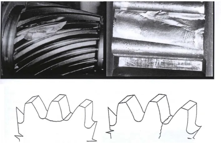 Figura 2-8. Esempi di ingranaggi danneggiati a bending e percorsi di propagazione di  una cricca per fatica a flessione