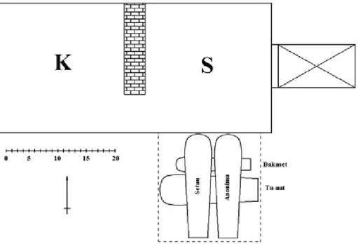 Figura 1. Ricostruzione schematica degli ambienti ipogei del pozzo n. 1352 con indicazione della  posizione dei sarcofagi: in alto Setau e la bara anonima, in basso Bakaset e Ta-aat