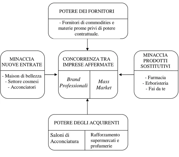 Figura I: lo schema delle cinque forze del Porter applicato al mercato dell’ hair care 