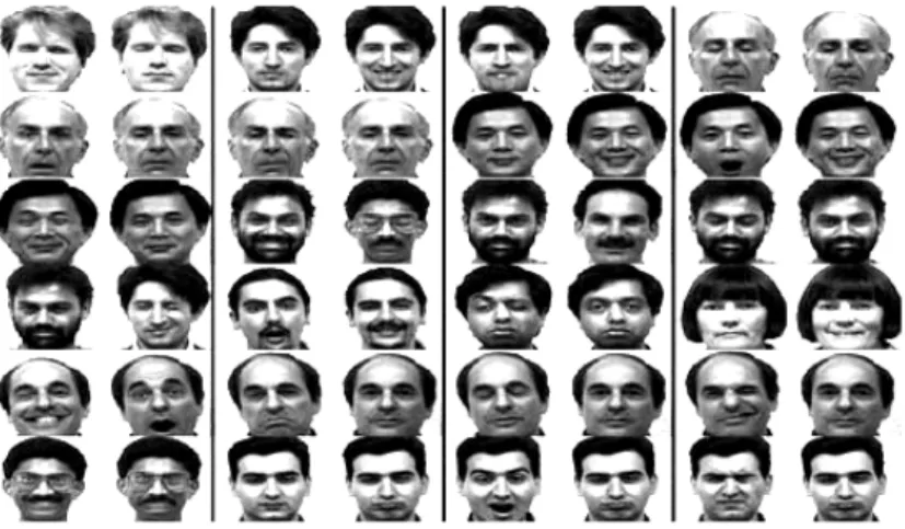 Figura 8:  Esempio di test usato nel riconoscimento delle espressioni facciali  (www.encarta.msn.com) 