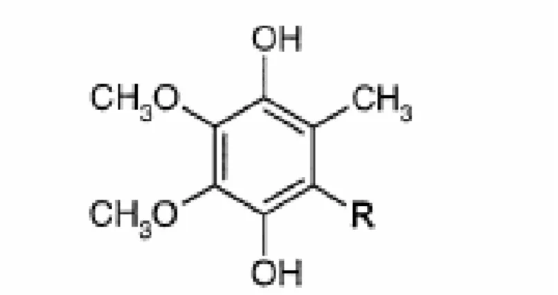 Fig. 3.2.1. -Ubichinone 