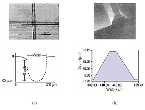 Figura 1.13.  Hot embossing: (a) canali micrometrici su PMMA e (b) master  in silicio