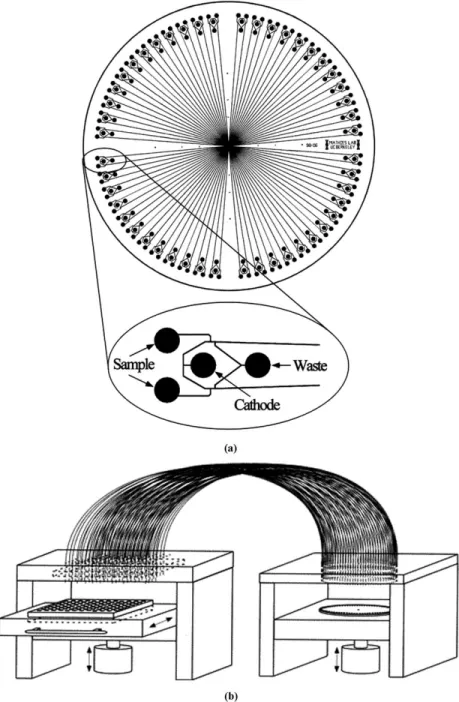 Figura 1.19.  Elettroforesi capillare radiale: (a) layout del dispositivo avete  una matrice di 96 canali di separazione ed (b) apparato esterno  per il caricamento contemporaneo dei campioni nei 96 canali