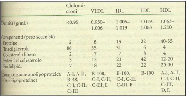 Tabella 1: Proprietà delle principali classi di lipoproteine plasmatiche umane. (“B io chim ica”, M athew s) 