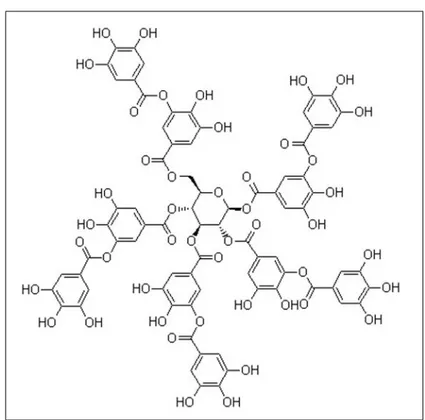 Figura 1.6: Rappresentazione della struttura chimica del gallotannino pentagalloilgluco- pentagalloilgluco-sio.