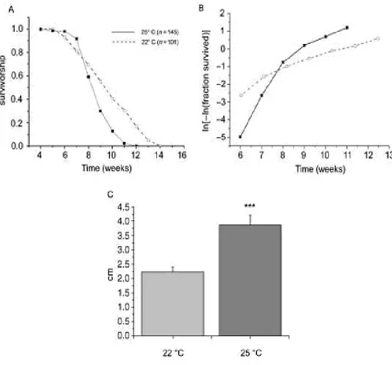 Figure 3.11:  Effects of temperature on survival and size in captive Nothobranchius furzeri