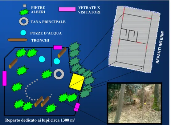 Fig.  2.1  Visione  dell’area  occupata  dai  lupi  (immagine  Federica  Pacini  e  Chiara  Stefani) 