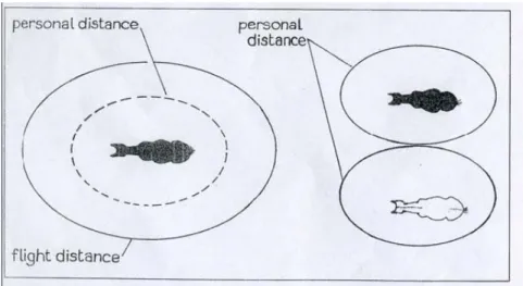 Fig. 1 Rappresentazione dello spazio personale (persona distance)  