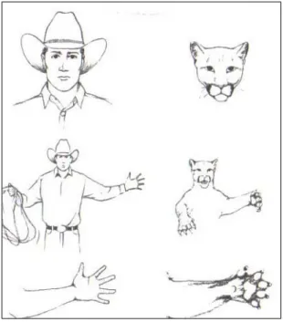 Fig. 2 Alcuni gesti umani così come interpretati dal cavallo. 
