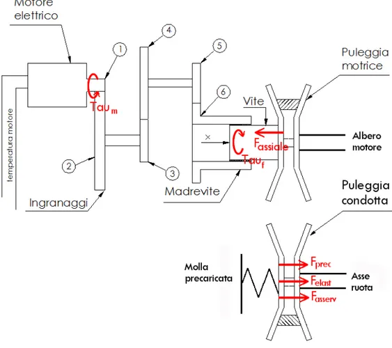 Figura 1: Schema meccanico del CVT elettroattuato e forze agenti