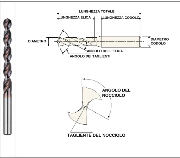 figura 3.2 punta elicoidale